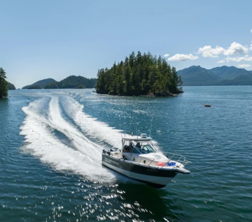 A Trophy boat speeds through a serene waterway, leaving a frothy wake, surrounded by lush, forested islands and distant mountain ranges under a clear sky.