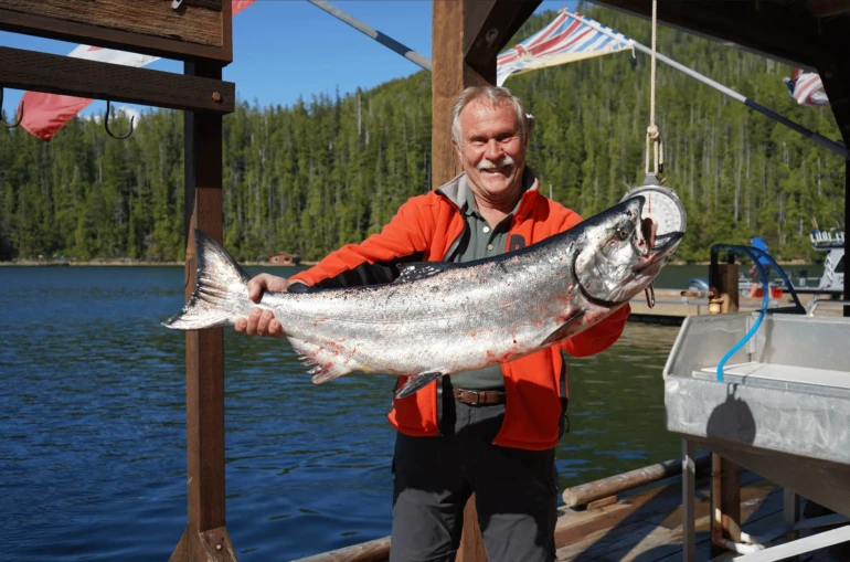 A mid June Chinook Caught out of Nootka Sound on Vancouver Island